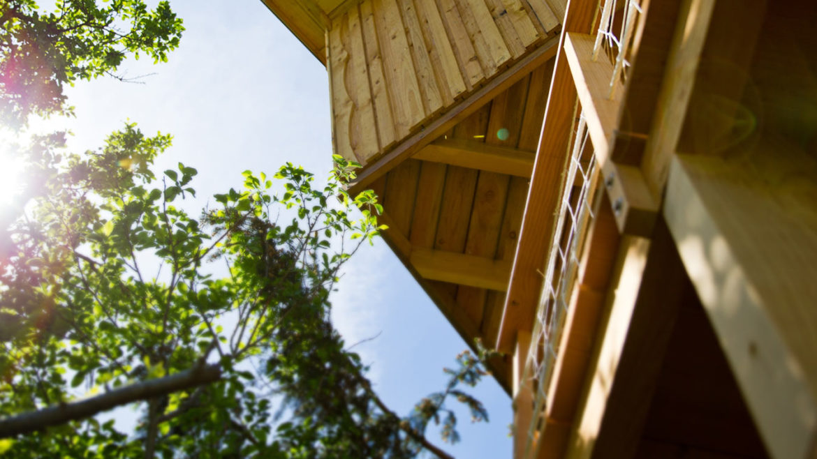 Constructeur de cabanes dans les arbres