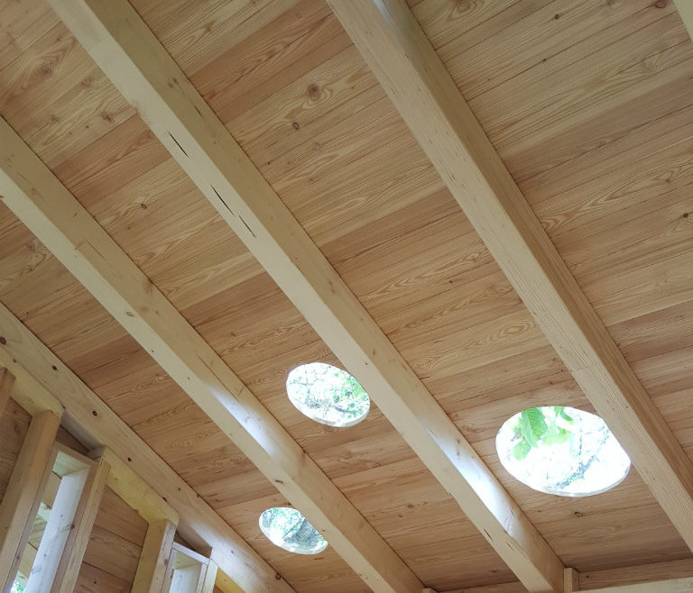 Pour observer les oiseaux nicher